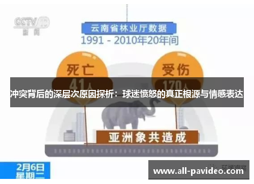 冲突背后的深层次原因探析:球迷愤怒的真正根源与情感表达 冲突背后的深层次原因探析:球迷愤怒的真正根源与情感表达