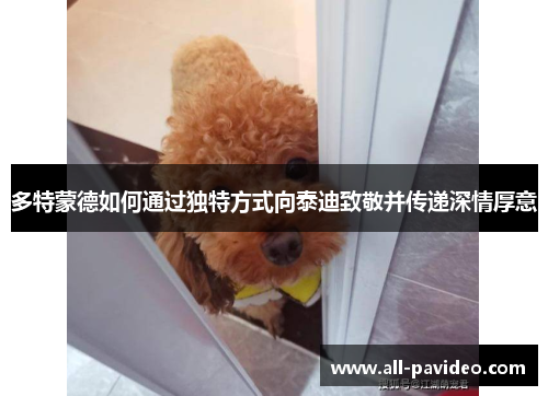 多特蒙德如何通过独特方式向泰迪致敬并传递深情厚意