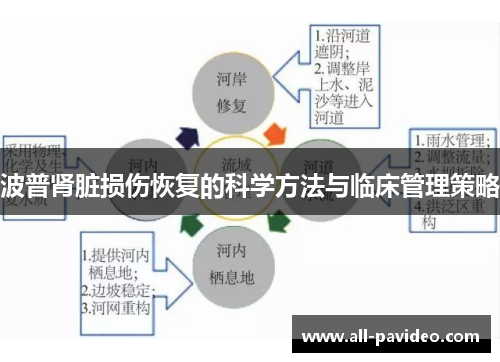 波普肾脏损伤恢复的科学方法与临床管理策略 波普肾脏损伤恢复的科学方法与临床管理策略