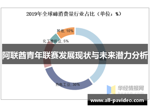阿联酋青年联赛发展现状与未来潜力分析