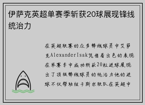 伊萨克英超单赛季斩获20球展现锋线统治力